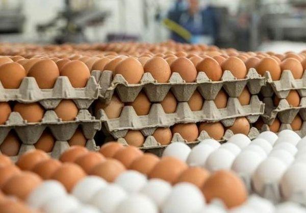 Farm Fresh Eggs Image